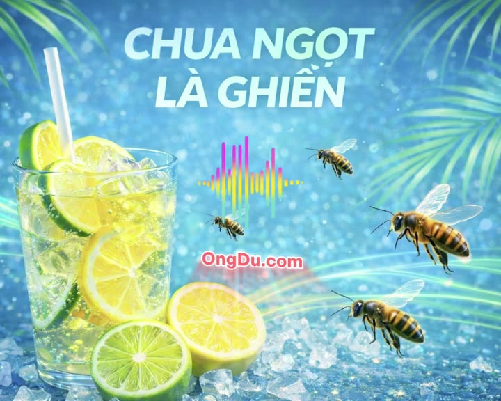 Bài hát: Chua ngọt là ghiền