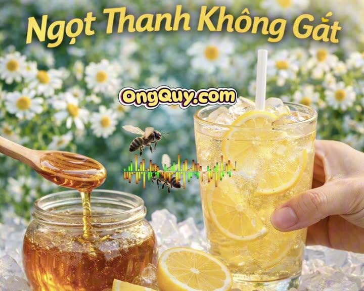 Bài hát: Ngọt thanh không gắt