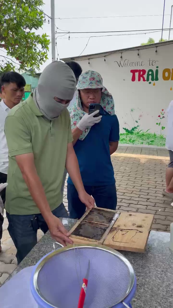 Mở thùng ong dú lần đầu — thao tác đúng