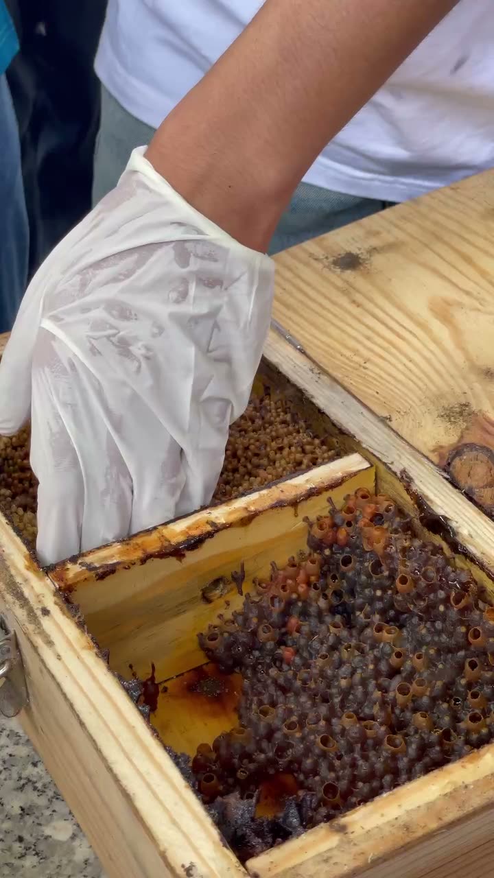 Dùng que gạt tách tổ ong dú