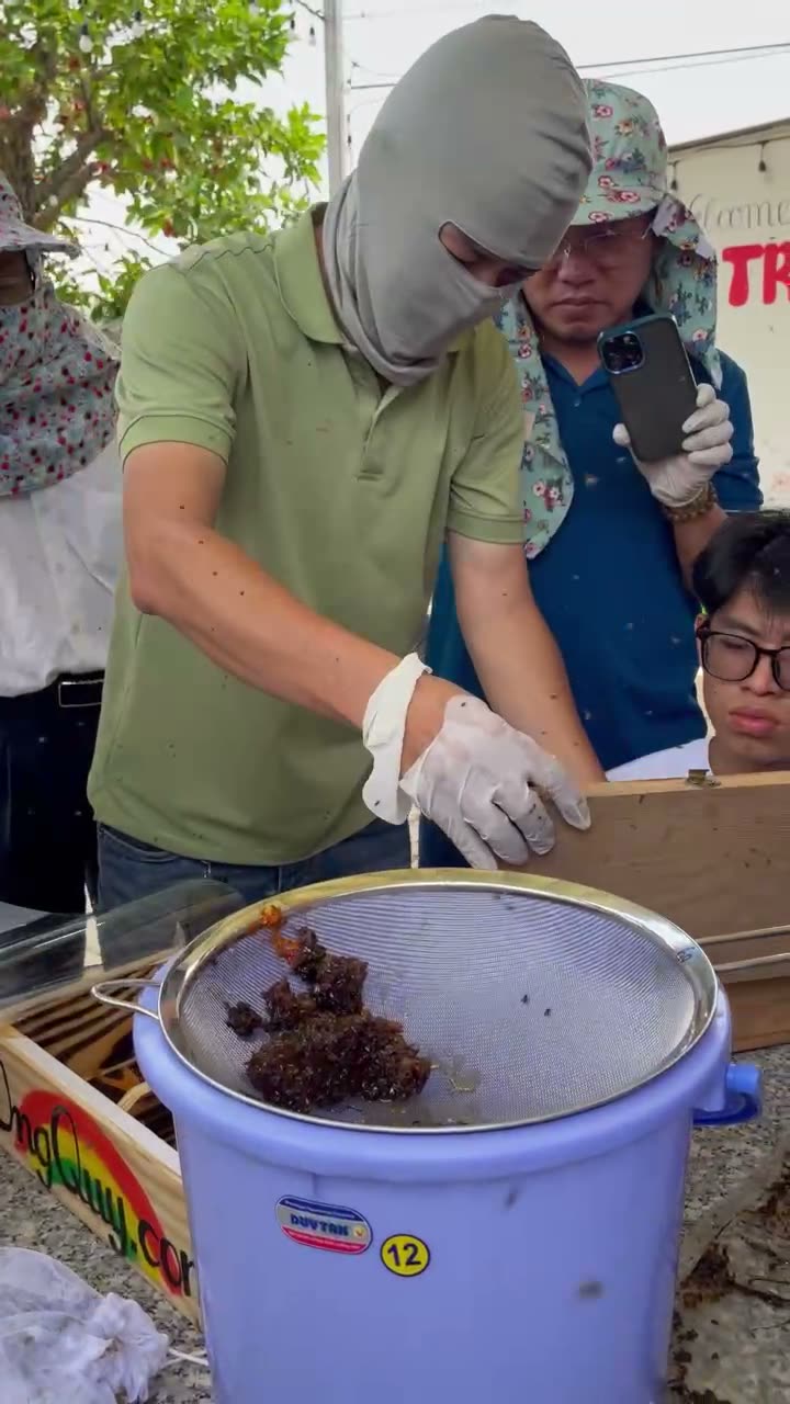 Mở nắp thùng ong dú trước khi thu hoạch