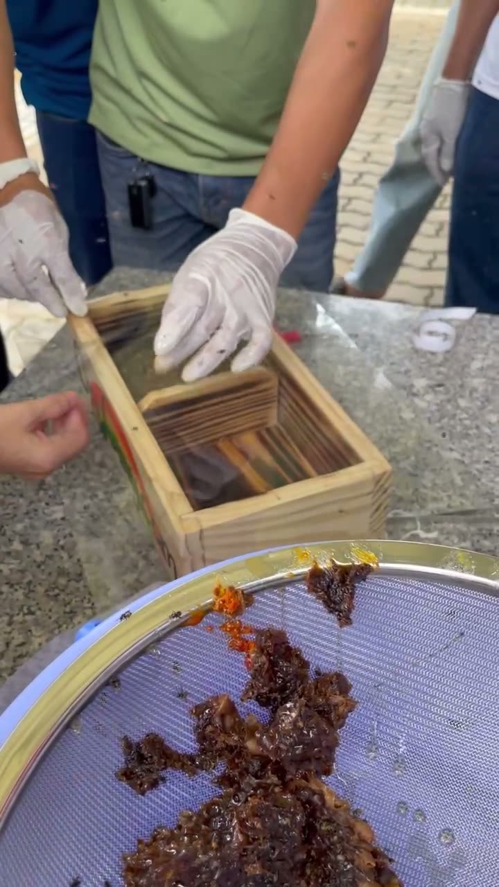 Tổ mật ong dú sau khi tách khỏi thùng