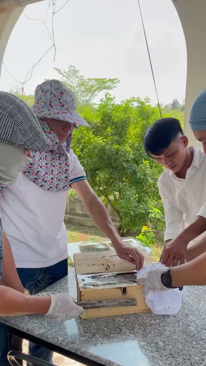 Đối chiếu hai đàn ong dú sau khi thu