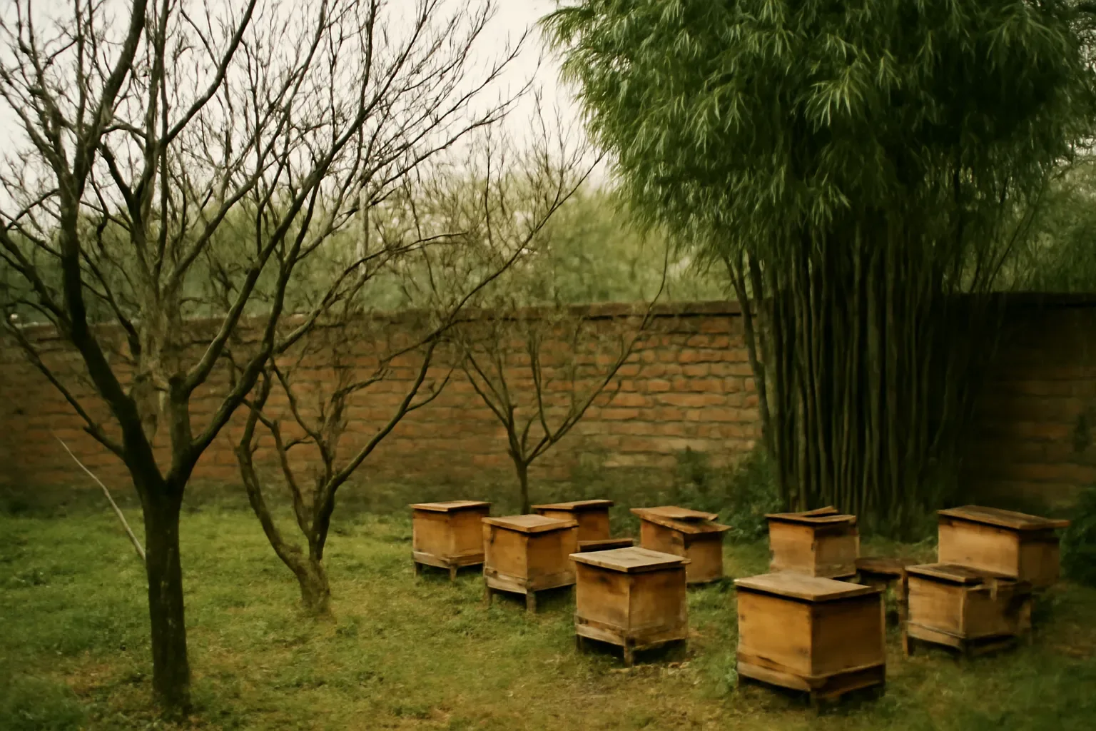 Thanh Hoá nuôi ong dú được không? Trả lời thẳng