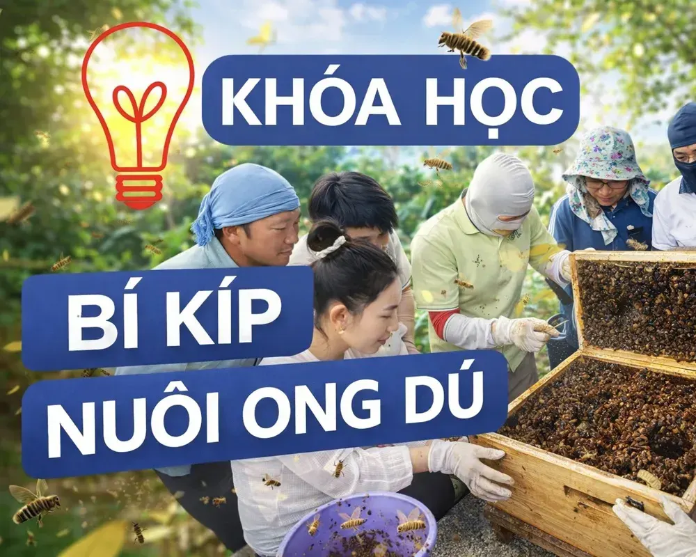 Di chuyển thùng ong dú - tưởng là chuyện nhỏ, nhưng nhiều đàn mất đi chỉ vì “dịch một chút”