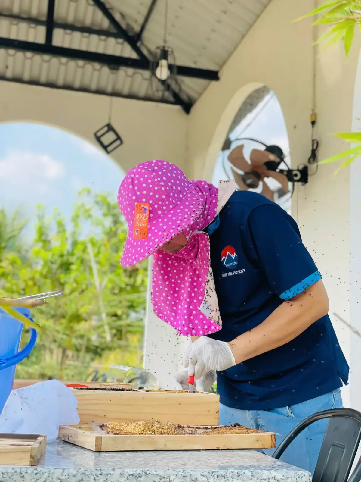 Mua tổ ong dú giống đúng 1 lần… hay mua rẻ rồi mua lại nhiều lần?