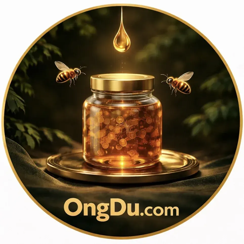 Nắng gắt - thứ làm ong dú xuống lực nhanh hơn bạn tưởng, nhưng lại rất dễ bị xem nhẹ