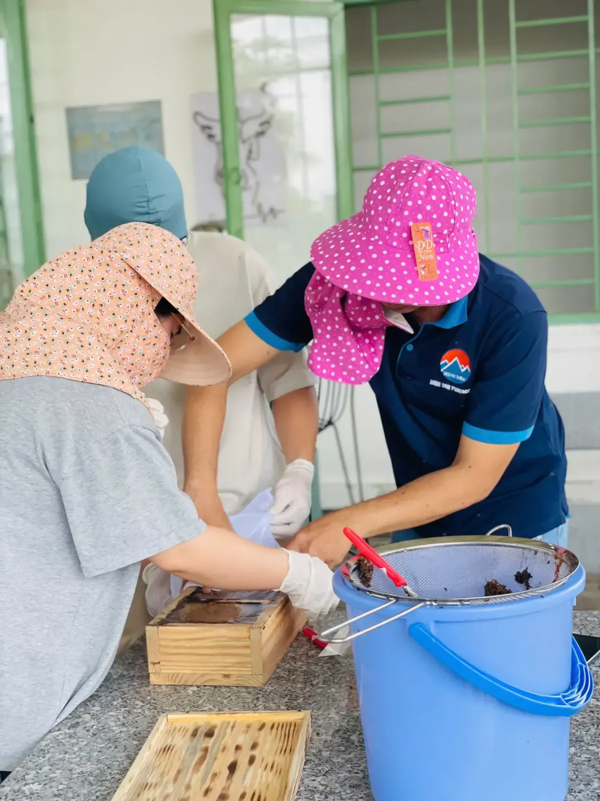 Nếu chỉ được chọn 1 yếu tố khi mua ong dú - hãy chọn cái này