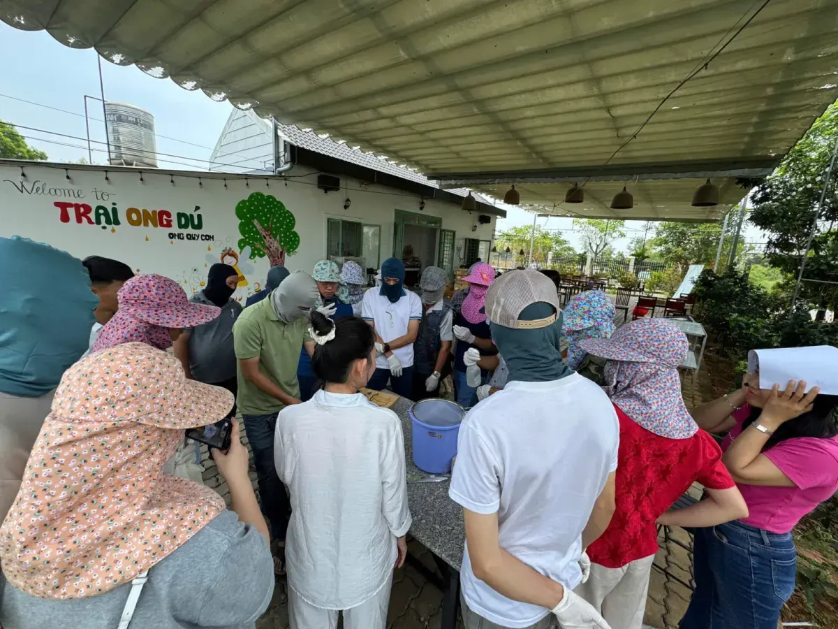 Nuôi ong dú, cuối cùng không phải là nuôi ong… mà là hiểu một hệ sống