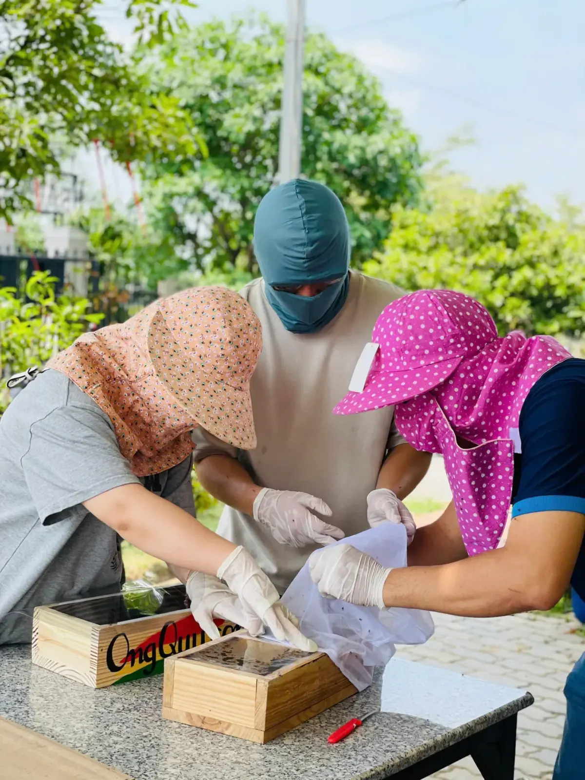 Nuôi ong dú giỏi không phải là có nhiều đàn, mà là giữ được qua nhiều mùa
